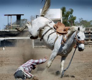 Cowboy falling off bucking bronco